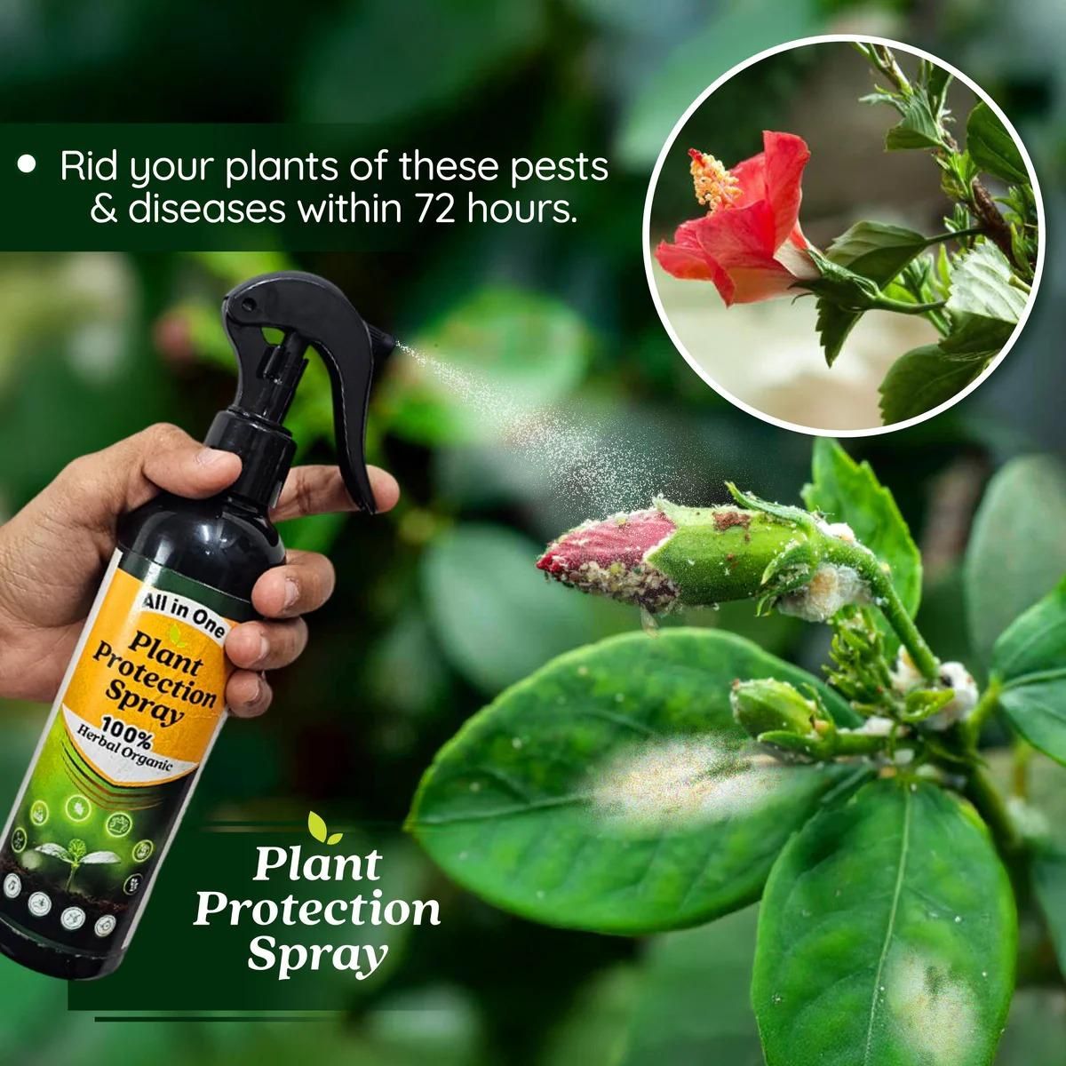 LeafGuard™ - All in One Plant Protection Spray 🌿🛡️(Buy 1 Get 1 Free🔥🔥)
